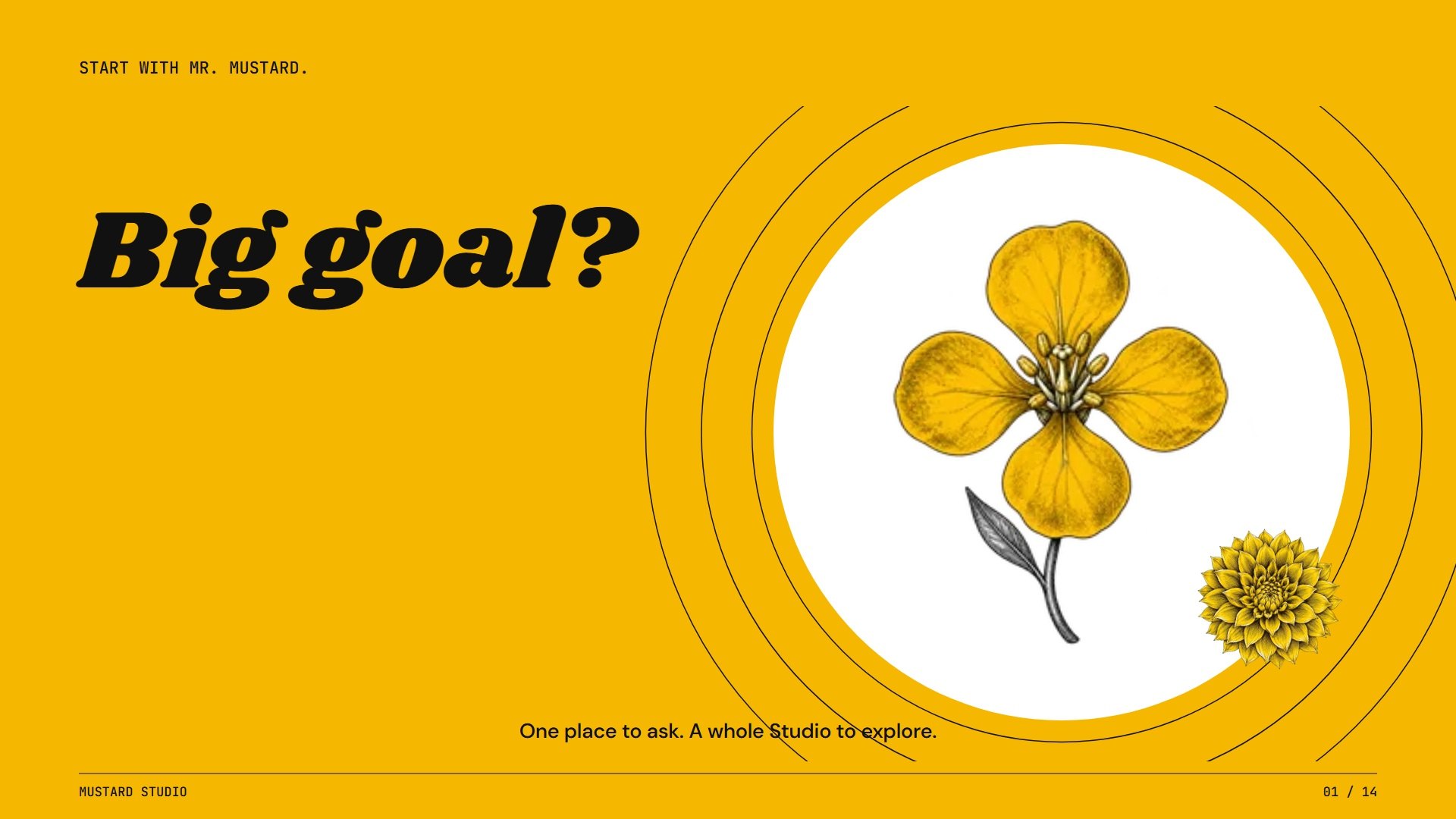Mr. Mustard, the yellow mustard blossom, at the center of fine orbiting rings.